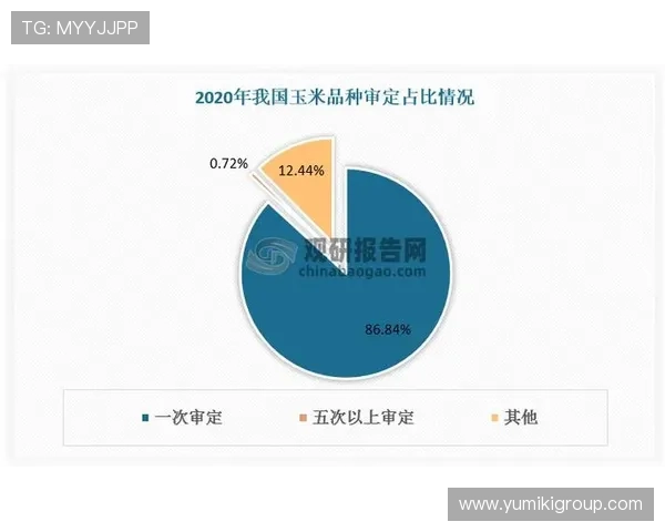 J9真人会在行业中的竞争优势及未来发展趋势分析