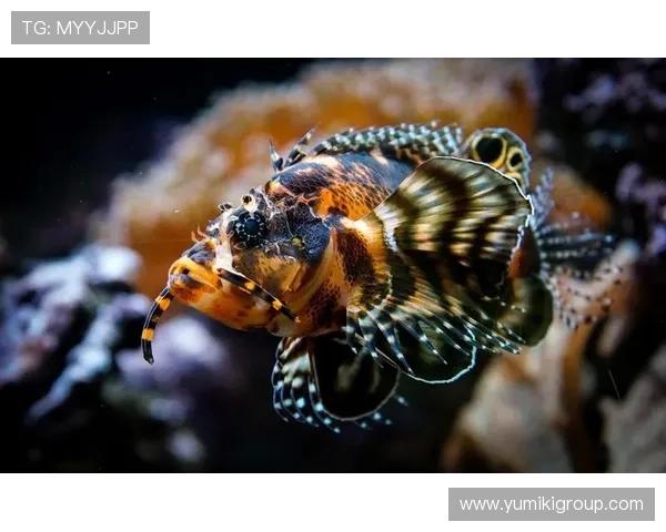 博鱼真人官方入口正式开启，享受高清画质和多样化的真人游戏选择