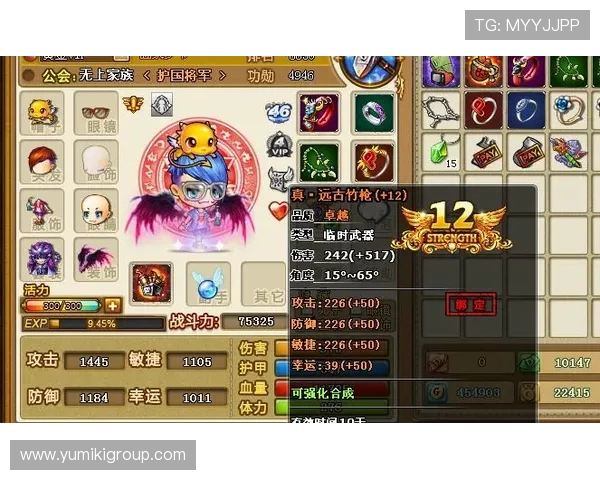 ds视讯入口全天候在线服务，快速解决登录问题保障您的游戏连续性